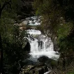 Yuste
