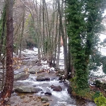 Гостевой дом Yuste 2*