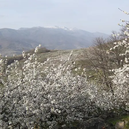 Yuste Гостевой дом 2*