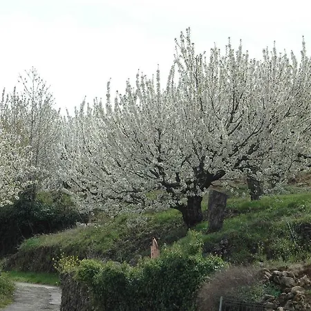Yuste Гостевой дом Гарганта-ла-Олья