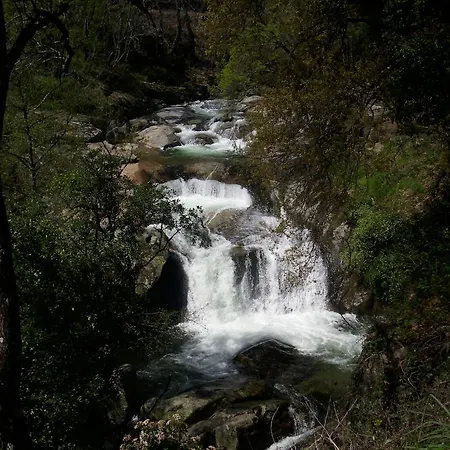 Yuste