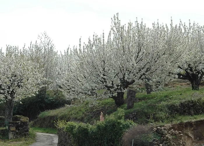 Yuste Casa de hóspedes Garganta la Olla